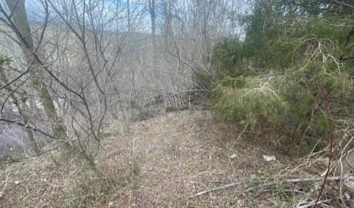 Photo #9 of LONG MEADOW RD, FISHERSVILLE, VA 0.3 acres