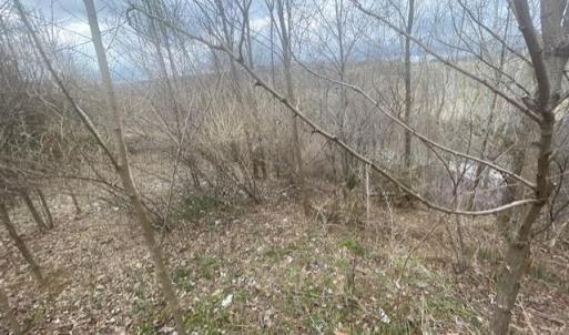 Photo #8 of LONG MEADOW RD, FISHERSVILLE, VA 0.3 acres
