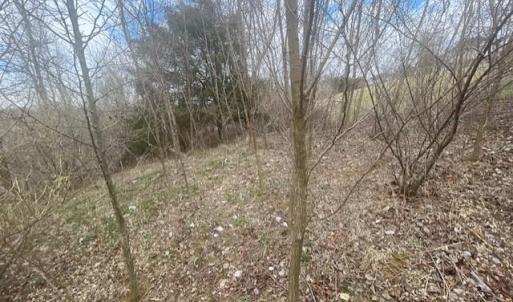 Photo #6 of LONG MEADOW RD, FISHERSVILLE, VA 0.3 acres
