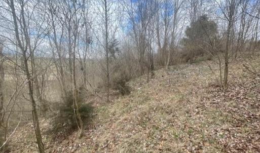 Photo #4 of LONG MEADOW RD, FISHERSVILLE, VA 0.3 acres