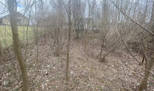 Photo #1 of LONG MEADOW RD, FISHERSVILLE, VA 0.3 acres