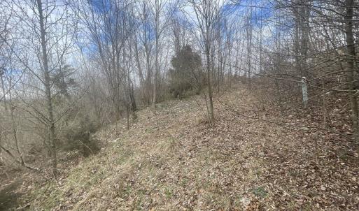 Photo #3 of LONG MEADOW RD, FISHERSVILLE, VA 0.3 acres