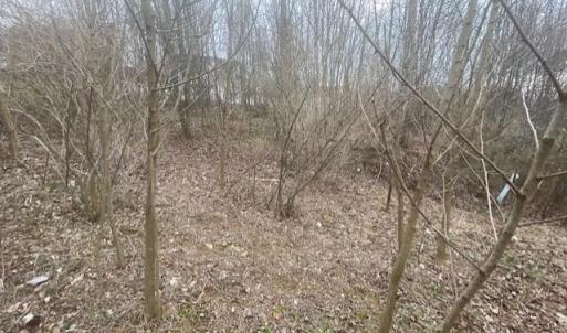 Photo #10 of LONG MEADOW RD, FISHERSVILLE, VA 0.3 acres