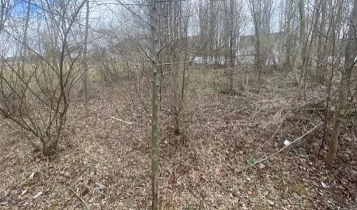 Photo #7 of LONG MEADOW RD, FISHERSVILLE, VA 0.3 acres