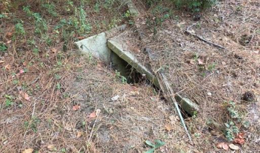 Photo #7 of 4172 WEST DR, CAPE CHARLES, VA 0.7 acres