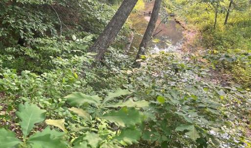 Photo #4 of KANGAROO CT, MINERAL, VA 2.2 acres