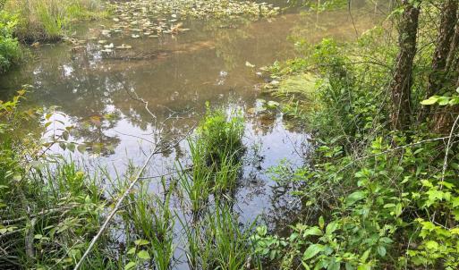 Photo #1 of KANGAROO CT, MINERAL, VA 2.2 acres