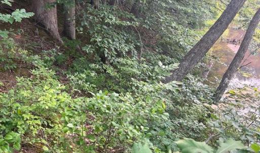 Photo #5 of KANGAROO CT, MINERAL, VA 2.2 acres