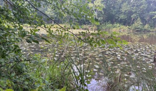 Photo #2 of KANGAROO CT, MINERAL, VA 2.2 acres