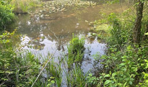 Photo #3 of KANGAROO CT, MINERAL, VA 2.2 acres