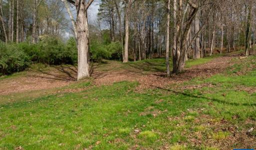 Photo #10 of TBD LAKESIDE DR, CHARLOTTESVILLE, VA 0.8 acres