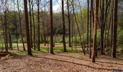 Photo #7 of TBD LAKESIDE DR, CHARLOTTESVILLE, VA 0.8 acres