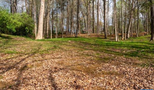 Photo #6 of TBD LAKESIDE DR, CHARLOTTESVILLE, VA 0.8 acres