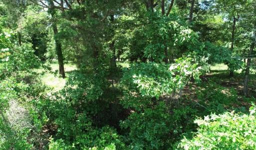 Photo #31 of 25 CREEKSIDE LN, CAPE CHARLES, VA