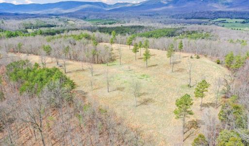 Photo #18 of 0 STAR TANNERY RD, STAR TANNERY, VA 23.1 acres