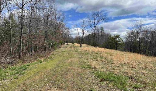 Photo #24 of 0 STAR TANNERY RD, STAR TANNERY, VA 23.1 acres