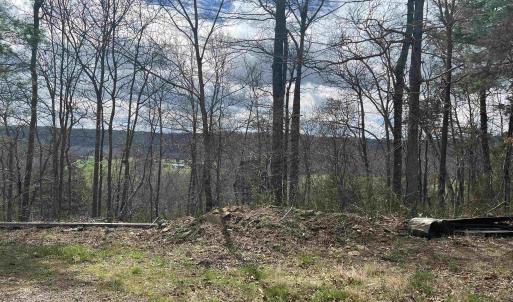 Photo #25 of 0 STAR TANNERY RD, STAR TANNERY, VA 23.1 acres