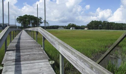 Photo #7 of 23 OCEAN VIEW WAY, PARKSLEY, VA 1.1 acres