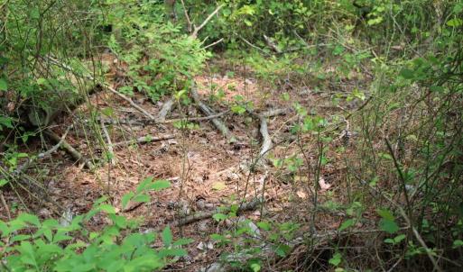 Photo #13 of 7300 OAK RIDGE PL, CHINCOTEAGUE, VA 130,680.0 acres