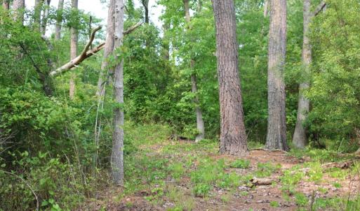 Photo #4 of 7300 OAK RIDGE PL, CHINCOTEAGUE, VA 130,680.0 acres