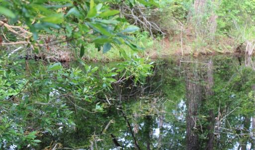 Photo #6 of 7300 OAK RIDGE PL, CHINCOTEAGUE, VA 130,680.0 acres