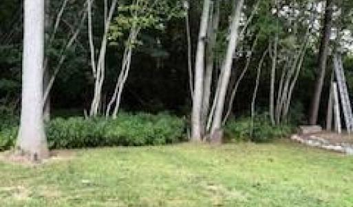 Photo #10 of Lot 3 EASTWINDS, HORNTOWN, VA 0.1 acres