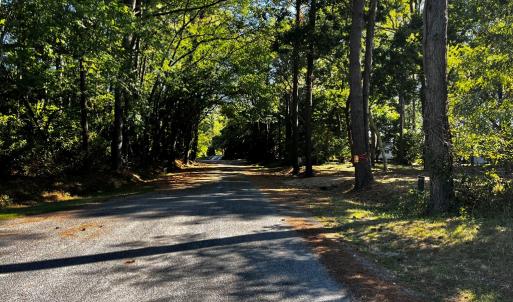 Tranquil Heron Drive