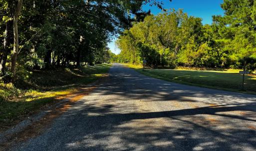 Tranquil Heron Drive