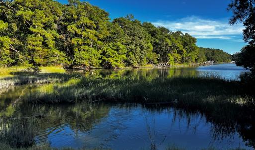 Heron Drive's Coastal Settings