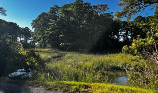 Heron Drive's Coastal Settings