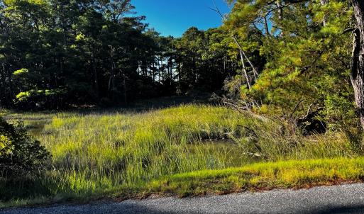 Heron Drive's Coastal Settings