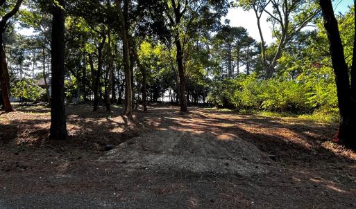 Just Cleared lot 259