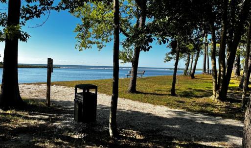 Community Area