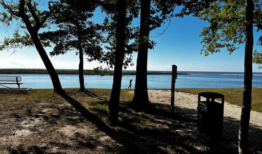 Community Area