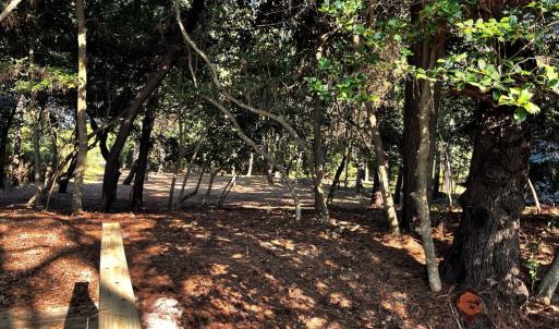 Photo #25 of Lot 259 HERON DR, MACHIPONGO, VA 0.7 acres