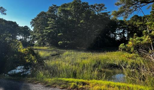 Heron Drive's Coastal Settings