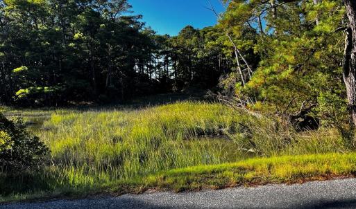 Heron Drive's Coastal Settings