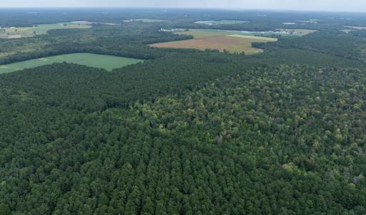 Photo #21 of NONE, NEW CHURCH, VA 151.9 acres