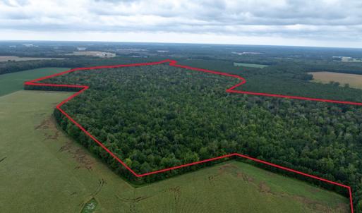 Photo #3 of NONE, NEW CHURCH, VA 151.9 acres