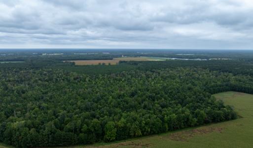 Photo #6 of NONE, NEW CHURCH, VA 151.9 acres