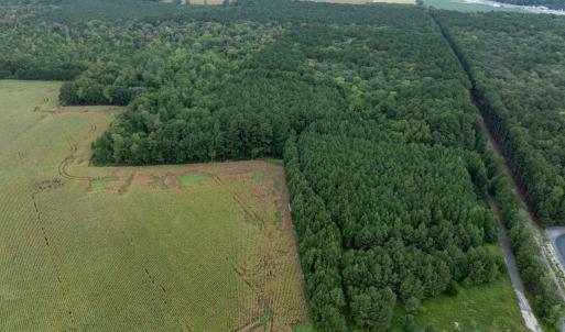 Photo #12 of NONE, NEW CHURCH, VA 151.9 acres