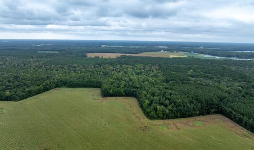 Photo #14 of NONE, NEW CHURCH, VA 151.9 acres