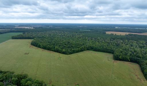 Photo #15 of NONE, NEW CHURCH, VA 151.9 acres