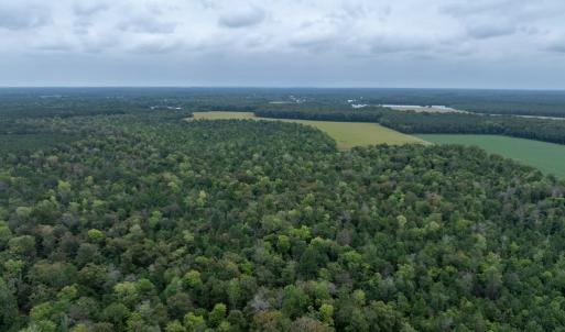 Photo #16 of NONE, NEW CHURCH, VA 151.9 acres