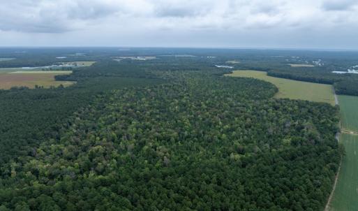 Photo #18 of NONE, NEW CHURCH, VA 151.9 acres