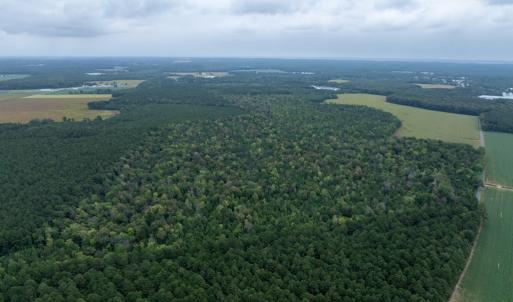 Photo #19 of NONE, NEW CHURCH, VA 151.9 acres