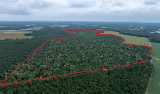 Photo #2 of NONE, NEW CHURCH, VA 151.9 acres