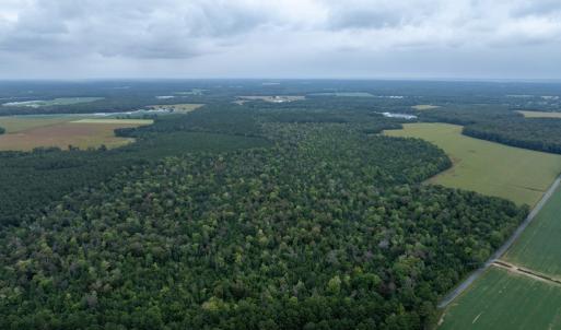 Photo #20 of NONE, NEW CHURCH, VA 151.9 acres