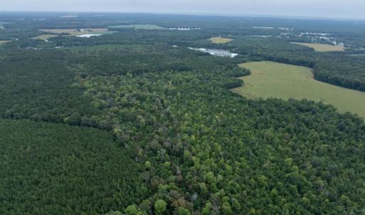 Photo #23 of NONE, NEW CHURCH, VA 151.9 acres