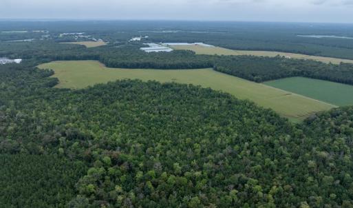 Photo #24 of NONE, NEW CHURCH, VA 151.9 acres